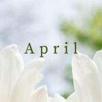 BlankCalendar.co – free blank calendars